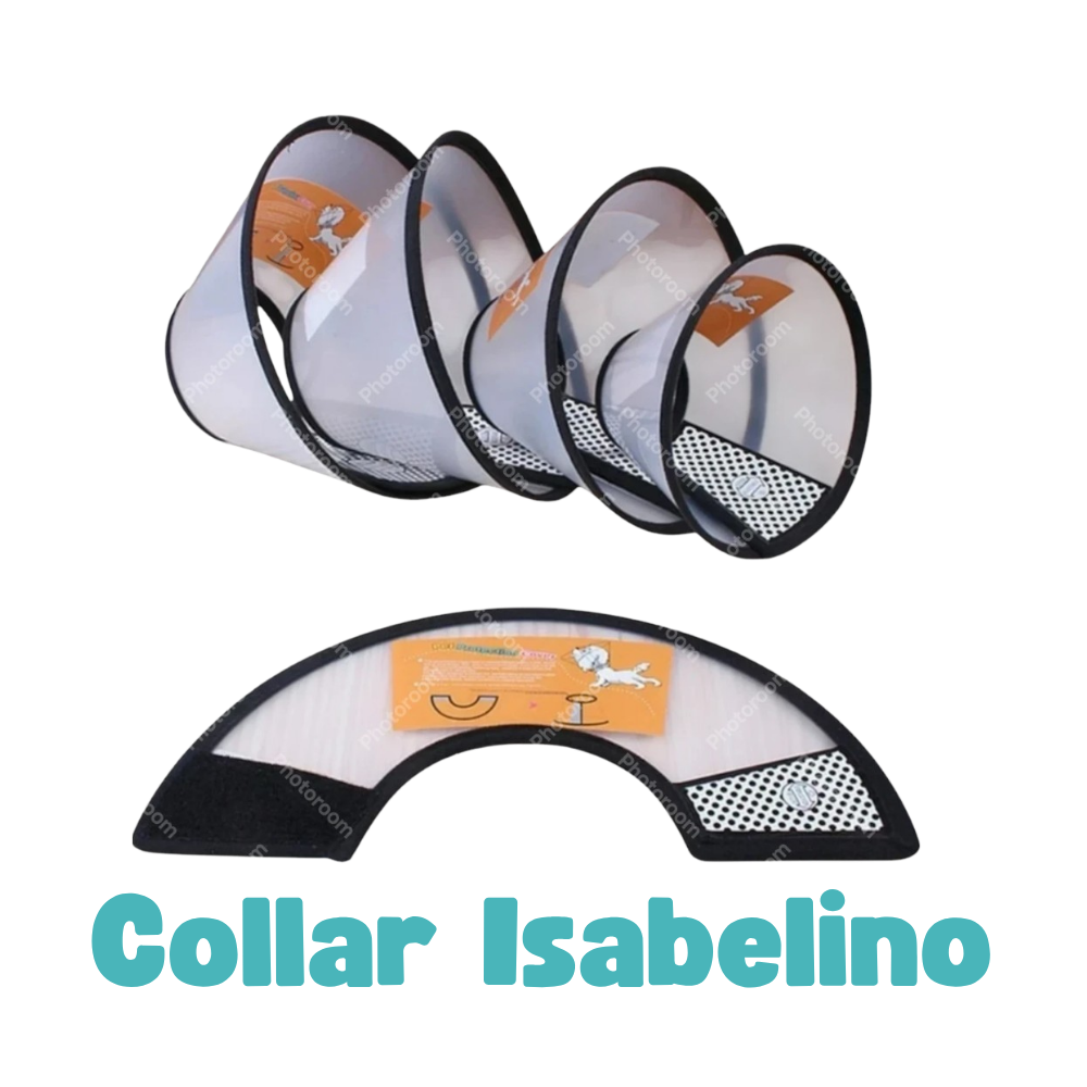 Collar Isabelino